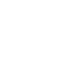 ヤマメの卵 ２万粒発育中です 広島 ヤマメの釣り堀 渓流茶園 公式
